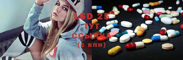 молекула духа Каменка