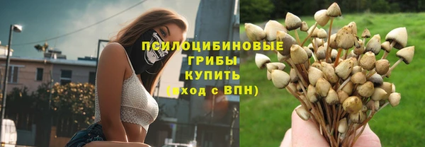 прущие крисы Каменск-Шахтинский