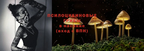 прущие крисы Каменск-Шахтинский