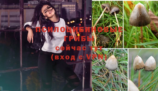 молекула духа Каменка