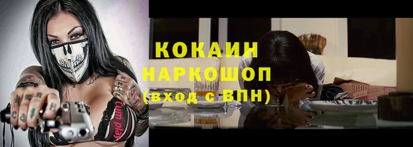 молекула духа Каменка