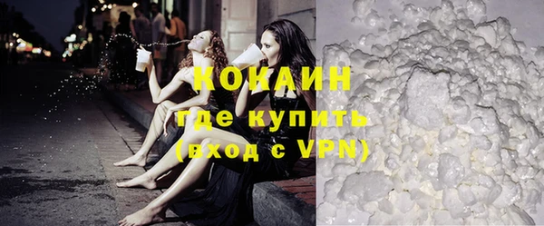 молекула духа Каменка