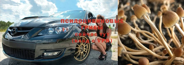 прущие крисы Каменск-Шахтинский