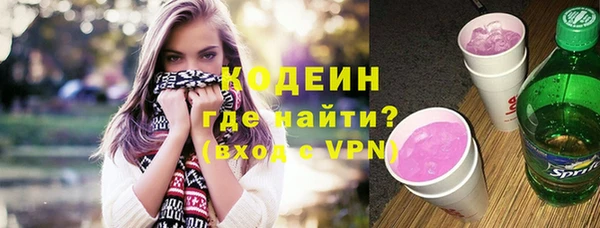 молекула духа Каменка