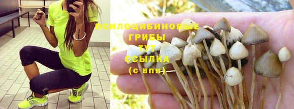 ешки Строитель