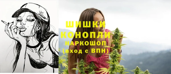 молекула духа Каменка