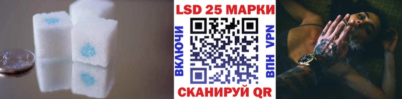 Купить  Кологрив  ЛСД экстази кислота 