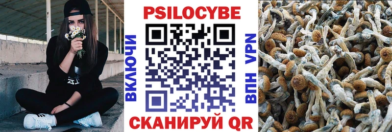 Купить где Кологрив Галлюциногенные грибы мухоморы
